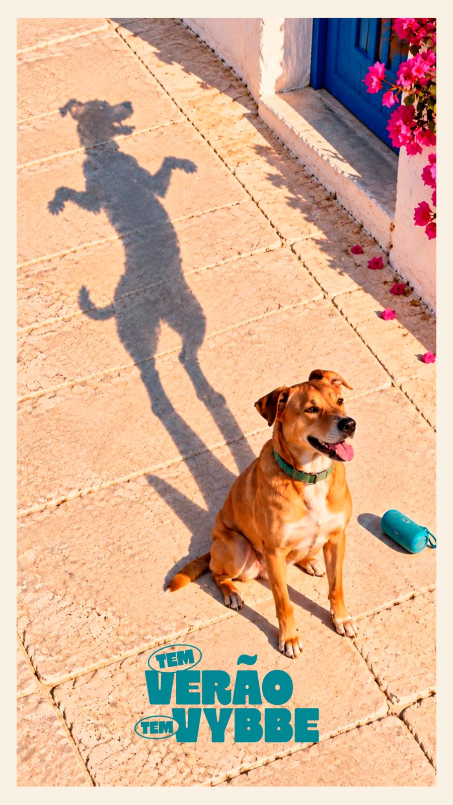 Cachorro caramelo sentado, com sua sombra dançando em pé