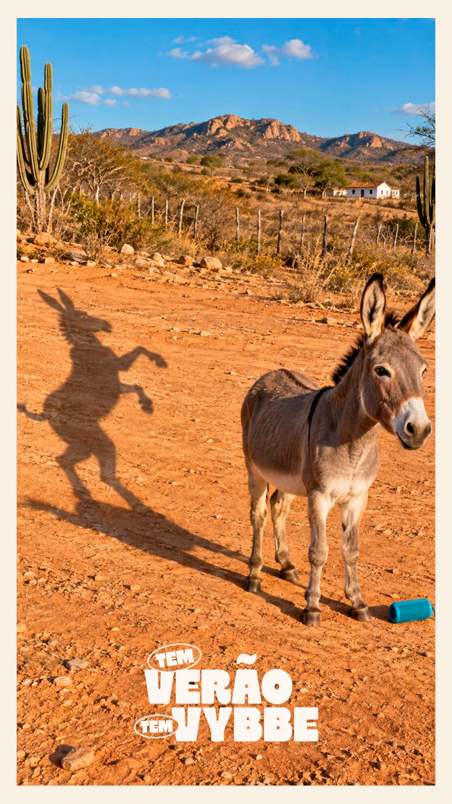 Jumentinho no sertão, com a sombra em pé dançando